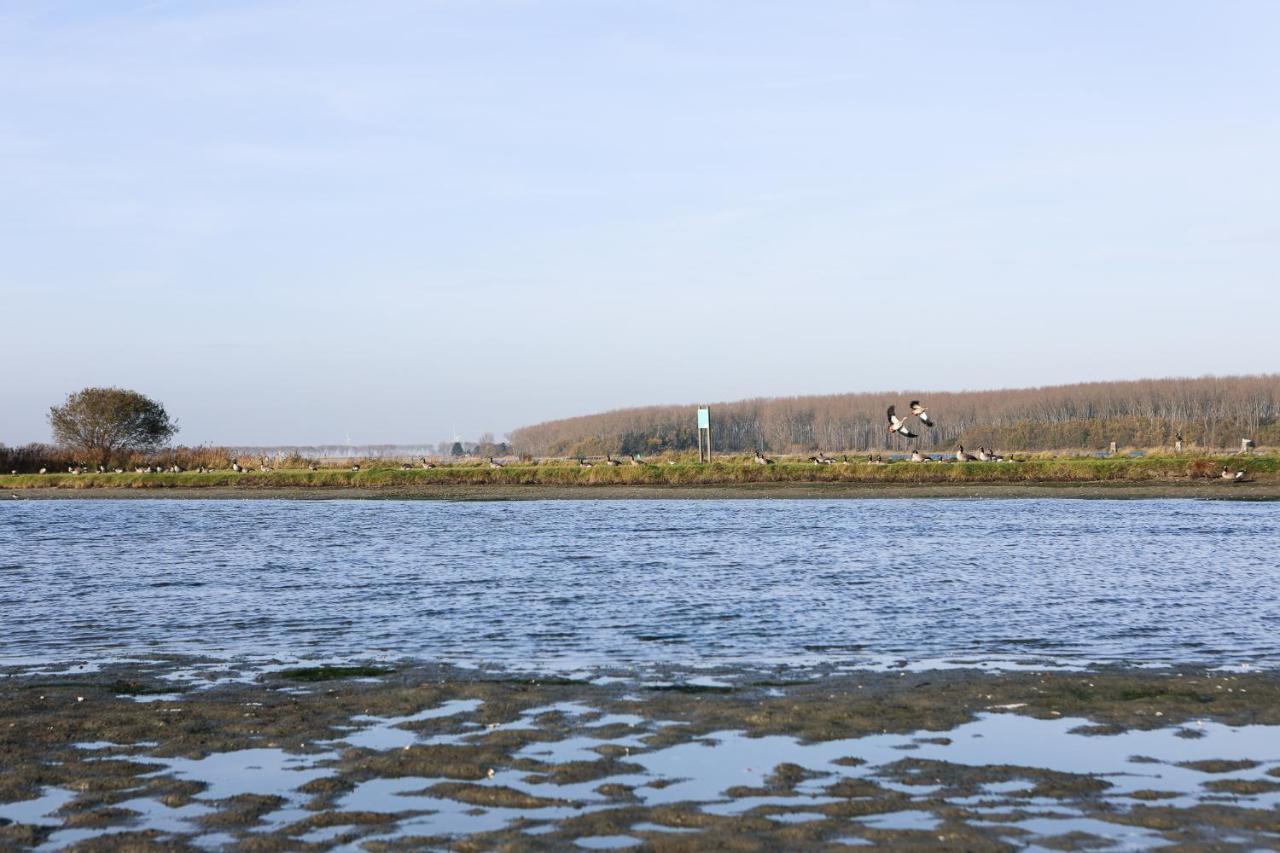 Wolphaartsdijk Huis Met Een Uitzicht Exterior photo